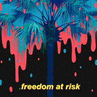 Pronoia - Freedom at Risk