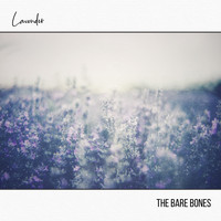 The Bare Bones - Lavender