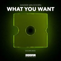 Sander Van Doorn - What You Want