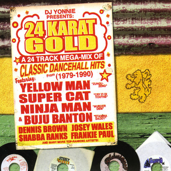 Various Artists - 24K Gold Dancehall Megamix