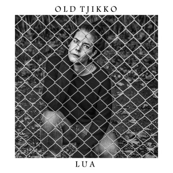 Old Tjikko - Lua