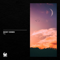 Nicky Jones - Fly