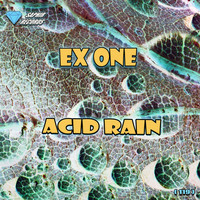 Ex One - Acid Rain