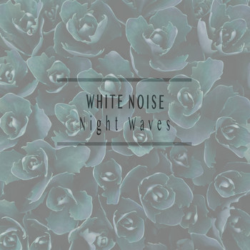 White Noise - Night Waves