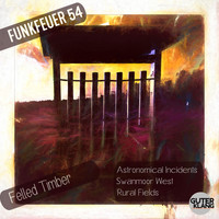Funkfeuer 54 - Felled Timber