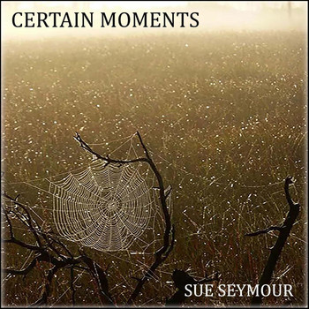 Sue Seymour - Certain Moments