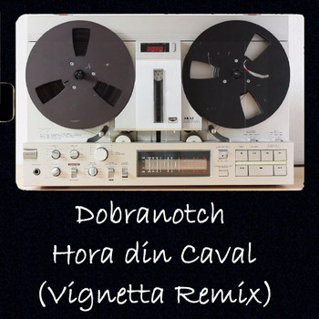 Dobranotch - Hora Din Caval (Vignetta Remix)