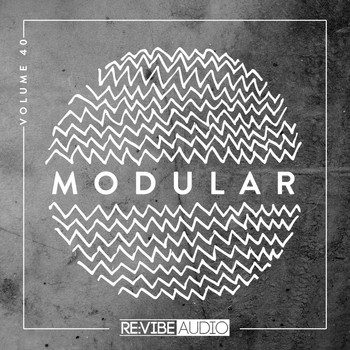 Various Artists - Modular, Vol. 40
