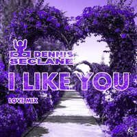 Dennis Seclane - I Like You (Love Mix)
