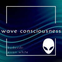 Budovski & Erron White - Wave Consciousness (Demo)