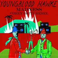 Youngblood Hawke - Madness (Corey Britz Remix)