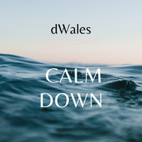 dWales / - Calm Down