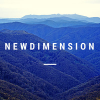 Various Artists / - New Dimension