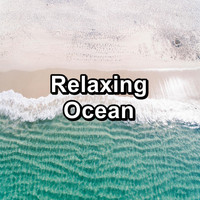 Ocean Wave Sounds - Relaxing Ocean