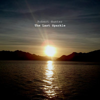 Robert Hunter - The Last Sparkle