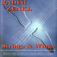 Radim Zenkl - Strings & Wings