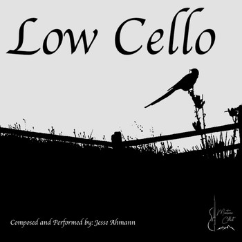 Jesse Ahmann - Low Cello in 432 hz