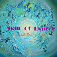 Critical Perception - Skill Of Expert