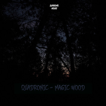 Quadronic - Magic Wood