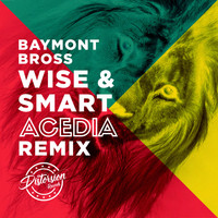 Baymont Bross - Wise & Smart (ACEDIA Remix)