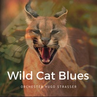 Orchester Hugo Strasser - Wild Cat Blues