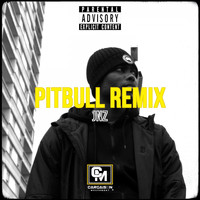 JNZ - Pitbull (Remix [Explicit])