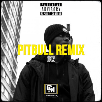 Jnz - Pitbull (Remix [Explicit])