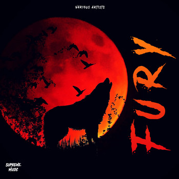 Various Artists - Fury