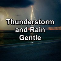 Rain & Thunder Sounds - Thunderstorm and Rain Gentle