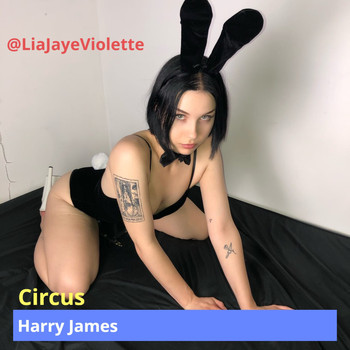 Harry James - Circus (Explicit)