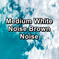 White Noise Pink Noise Brown Noise - Medium White Noise Brown Noise