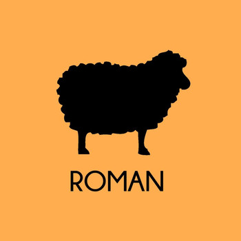 Román - ROMÁN