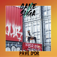 Cane Suga - Pavé d'or