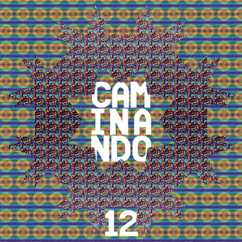 Various Artists - Caminando 12