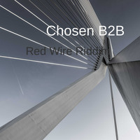 Chosen B2B / - Red Wire Riddim