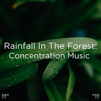 Rain Sounds, Rain for Deep Sleep and BodyHI - !!!" Rainfall In The Forest: Concentration Music  "!!!