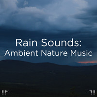 Rain Sounds, Rain for Deep Sleep and BodyHI - !!!" Rain Sounds: Ambient Nature Music "!!!