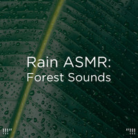Rain Sounds, Rain for Deep Sleep and BodyHI - !!!" Rain ASMR: Forest Sounds "!!!