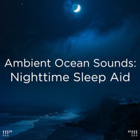 Ocean Sounds, Ocean Waves For Sleep and BodyHI - !!!" Ambient Ocean Sounds: Nighttime Sleep Aid "!!!