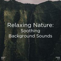 Nature Sounds Nature Music, Nature Sounds and BodyHI - !!!" Relaxing Nature: Soothing Background Sounds "!!!