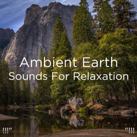 Nature Sounds Nature Music, Nature Sounds and BodyHI - !!!" Ambient Earth Sounds For Relaxation "!!!