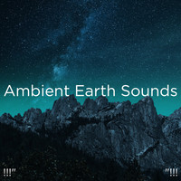 Nature Sounds Nature Music, Nature Sounds and BodyHI - !!!" Ambient Earth Sounds "!!!