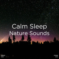 Deep Sleep, Sleep Sound Library and BodyHI - !!!"  Calm Sleep Nature Sounds "!!!
