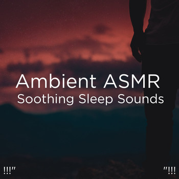 Deep Sleep, Sleep Sound Library and BodyHI - !!!" Ambient ASMR Soothing Sleep Sounds "!!!