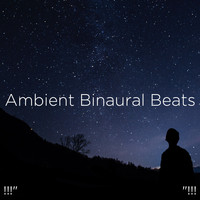 Deep Sleep Music Collective and Binaural Beats Sleep - !!!" Ambient Binaural Beats  "!!!