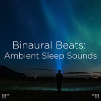 Deep Sleep Music Collective and Binaural Beats Sleep - !!!"  Binaural Beats: Ambient Sleep Sounds "!!!