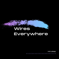 Wires Everywhere / - Only One