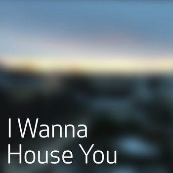 Various Artists - I Wanna House You
