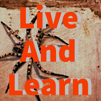 Caput - Live and Learn