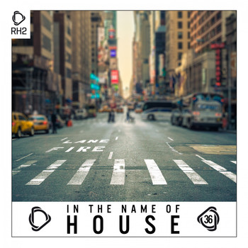 Various Artists - In the Name of House, Vol. 36